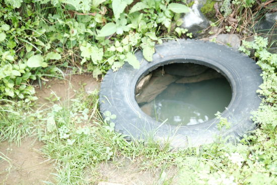 吾水团队在云南宁蒗某村调研看到的储水场景。