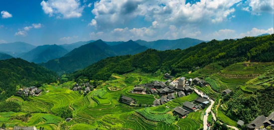ʤ塣